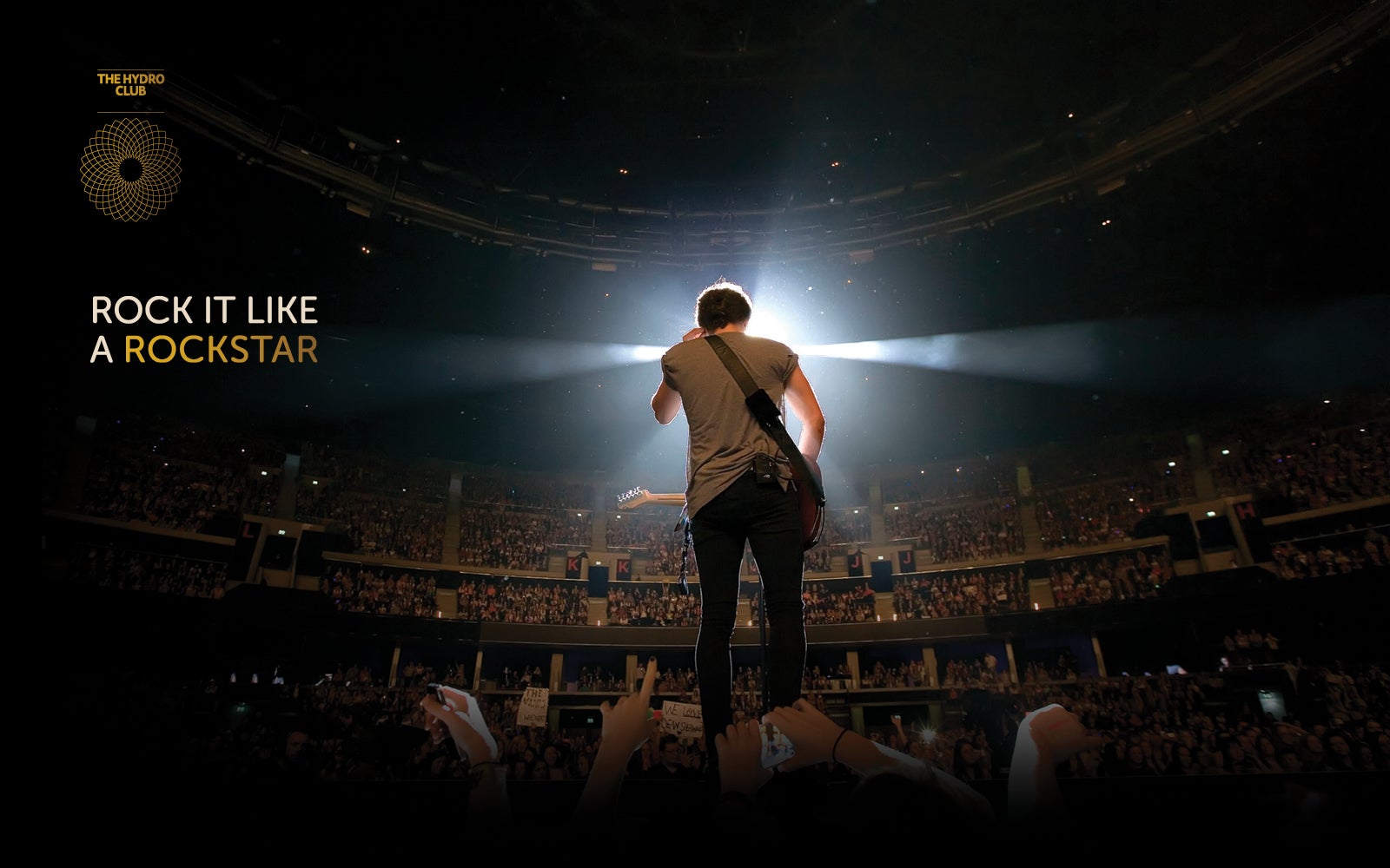 View from behind a person on stage performing at the OVO Hydro.